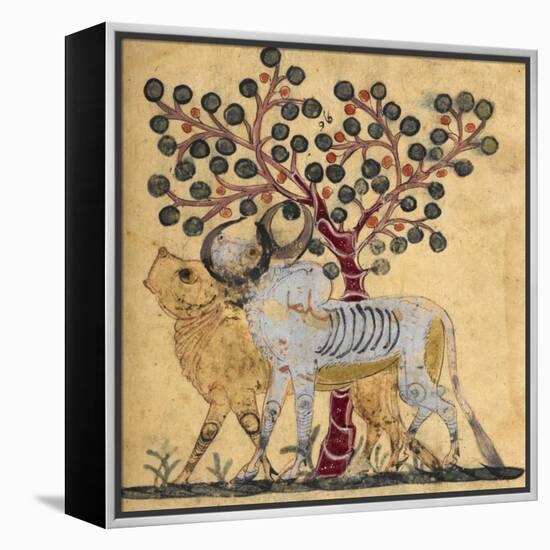 Bull and Cow-Aristotle ibn Bakhtishu-Framed Premier Image Canvas