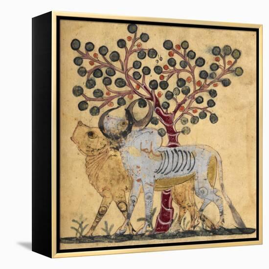 Bull and Cow-Aristotle ibn Bakhtishu-Framed Premier Image Canvas