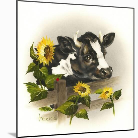 Bull and Sunflowers-Peggy Harris-Mounted Giclee Print