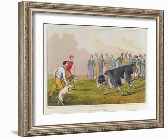 Bull Baiting', pub. by Thomas McLean, 1820-Henry Thomas Alken-Framed Giclee Print