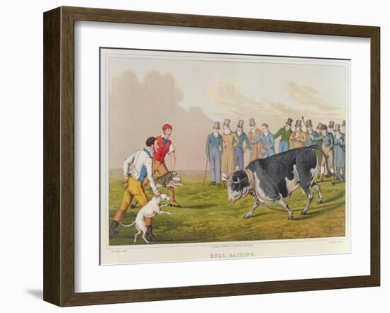 Bull Baiting', pub. by Thomas McLean, 1820-Henry Thomas Alken-Framed Giclee Print