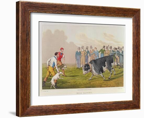 Bull Baiting', pub. by Thomas McLean, 1820-Henry Thomas Alken-Framed Giclee Print