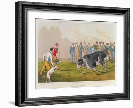 Bull Baiting', pub. by Thomas McLean, 1820-Henry Thomas Alken-Framed Giclee Print