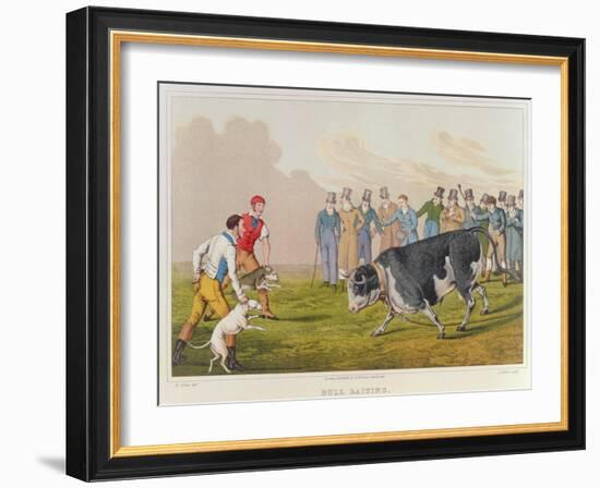 Bull Baiting', pub. by Thomas McLean, 1820-Henry Thomas Alken-Framed Giclee Print