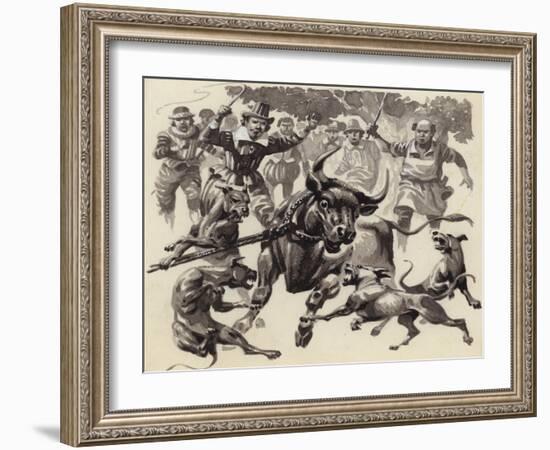Bull Baiting-Pat Nicolle-Framed Giclee Print