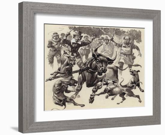 Bull Baiting-Pat Nicolle-Framed Giclee Print