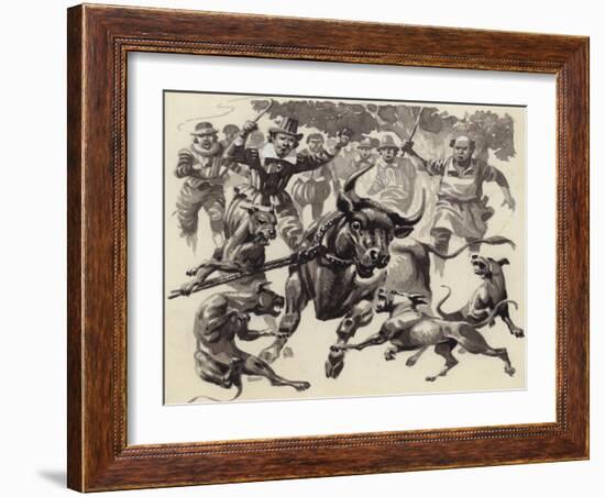 Bull Baiting-Pat Nicolle-Framed Giclee Print