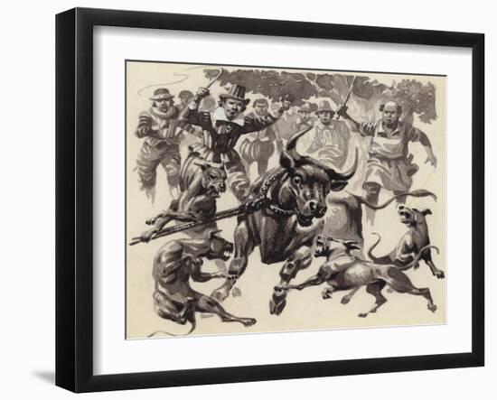 Bull Baiting-Pat Nicolle-Framed Giclee Print