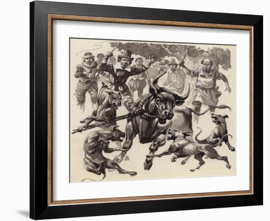 Bull Baiting-Pat Nicolle-Framed Giclee Print