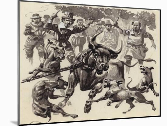 Bull Baiting-Pat Nicolle-Mounted Giclee Print