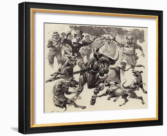 Bull Baiting-Pat Nicolle-Framed Giclee Print