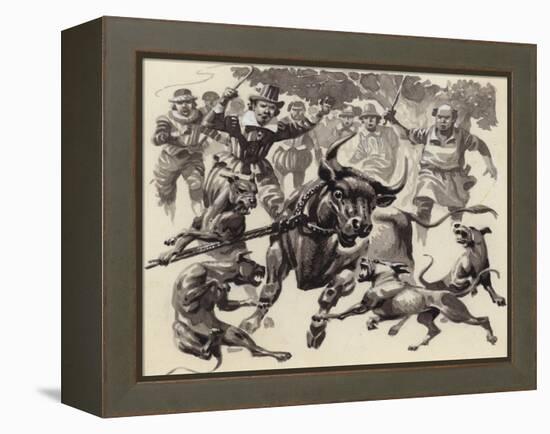 Bull Baiting-Pat Nicolle-Framed Premier Image Canvas