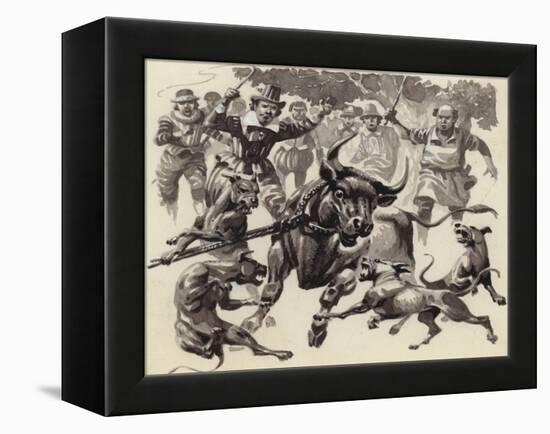Bull Baiting-Pat Nicolle-Framed Premier Image Canvas