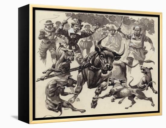 Bull Baiting-Pat Nicolle-Framed Premier Image Canvas