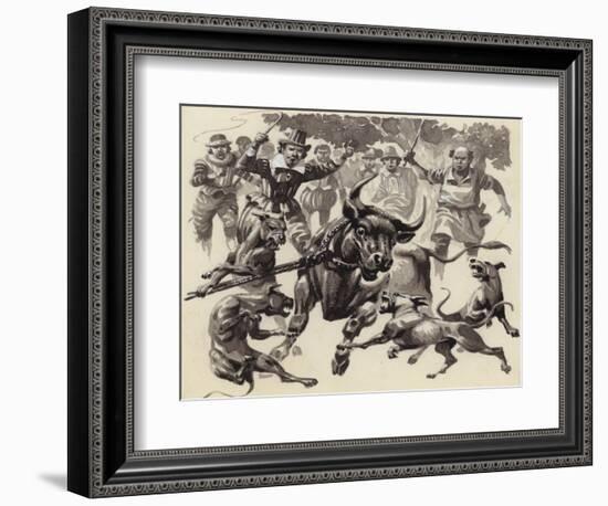 Bull Baiting-Pat Nicolle-Framed Giclee Print