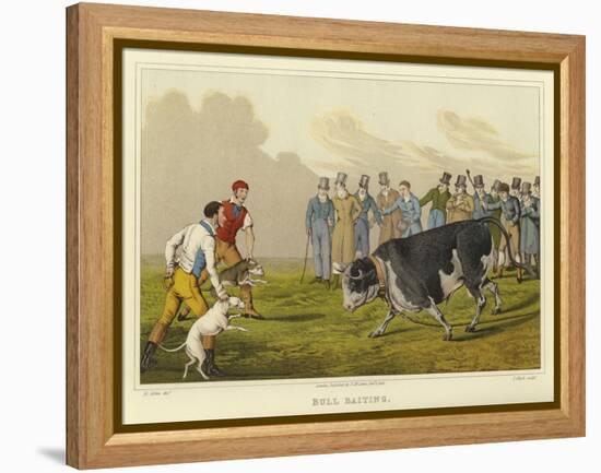 Bull Baiting-Henry Thomas Alken-Framed Premier Image Canvas