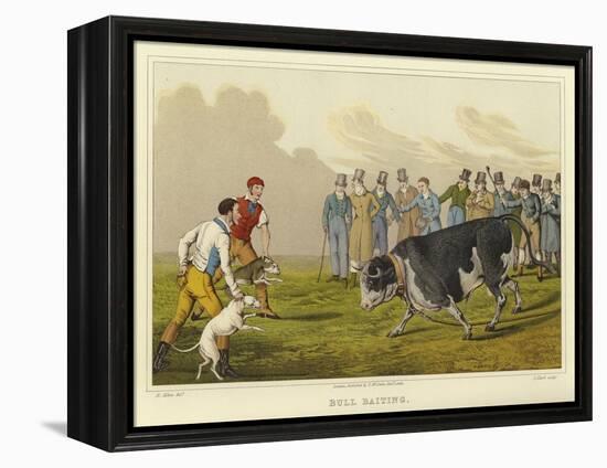 Bull Baiting-Henry Thomas Alken-Framed Premier Image Canvas