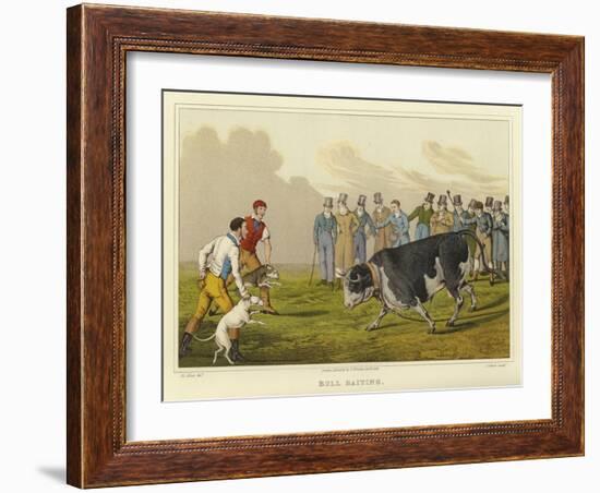 Bull Baiting-Henry Thomas Alken-Framed Giclee Print