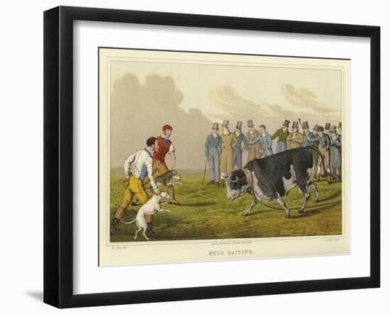 Bull Baiting-Henry Thomas Alken-Framed Giclee Print