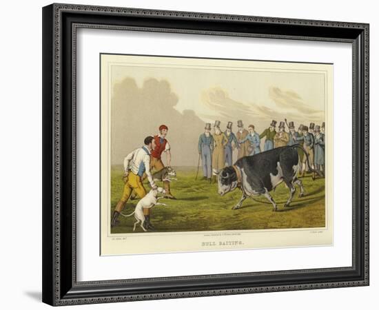 Bull Baiting-Henry Thomas Alken-Framed Giclee Print