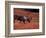 Bull Barren Ground Caribou and Colorful Tundra in Denali National Park, Alaska, USA-Charles Sleicher-Framed Photographic Print