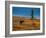 Bull Caribou feeding on tundra in interior of Denali National Park, Alaska-null-Framed Photographic Print