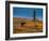 Bull Caribou feeding on tundra in interior of Denali National Park, Alaska-null-Framed Photographic Print