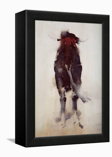 Bull, Detail-Daniel Cacouault-Framed Premier Image Canvas
