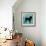 BULL DOG B1-Taylor Greene-Framed Art Print displayed on a wall