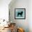 BULL DOG B1-Taylor Greene-Framed Art Print displayed on a wall