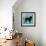 BULL DOG B1-Taylor Greene-Framed Art Print displayed on a wall