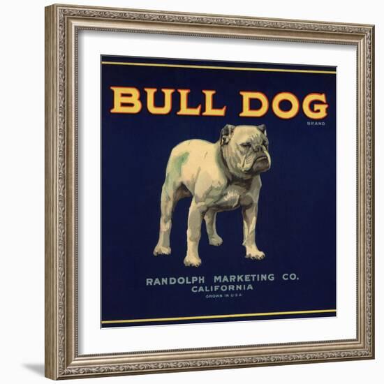 Bull Dog Head - California - Citrus Crate Label-Lantern Press-Framed Art Print