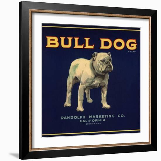 Bull Dog Head - California - Citrus Crate Label-Lantern Press-Framed Art Print