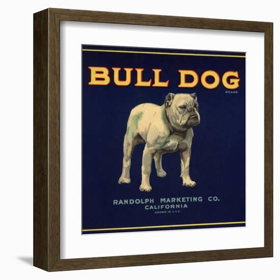 Bull Dog Head - California - Citrus Crate Label-Lantern Press-Framed Art Print