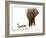 Bull Elephant and Springbok, Etosha, 2017-Eric Meyer-Framed Photographic Print