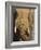 Bull Elephant, Loxodonta Africana, Addo Elephant National Park, Eastern Cape, South Africa-Steve & Ann Toon-Framed Photographic Print