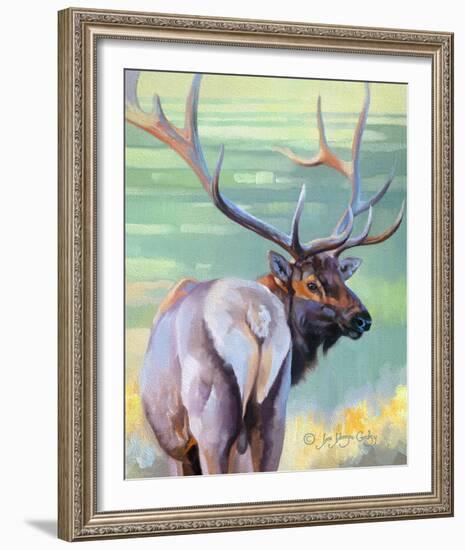 Bull Elk and Shadowy Sage-Joni Johnson-Godsy-Framed Giclee Print