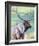 Bull Elk and Shadowy Sage-Joni Johnson-Godsy-Framed Giclee Print