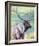 Bull Elk and Shadowy Sage-Joni Johnson-Godsy-Framed Giclee Print