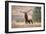 Bull Elk Bugling in Montana-Jason Savage-Framed Giclee Print