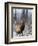 Bull Elk Bugling in the Snow, Jasper National Park, Unesco World Heritage Site, Alberta, Canada-James Hager-Framed Photographic Print