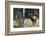 Bull Elk Bugling-Ken Archer-Framed Photographic Print