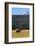 Bull Elk In Grass-Panoramic Images-Framed Photographic Print