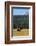 Bull Elk In Grass-Panoramic Images-Framed Photographic Print