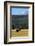 Bull Elk In Grass-Panoramic Images-Framed Photographic Print