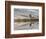 Bull Elk reflecting on pond at base of Canary Spring, Yellowstone National Park, Montana, Wyoming-Adam Jones-Framed Photographic Print