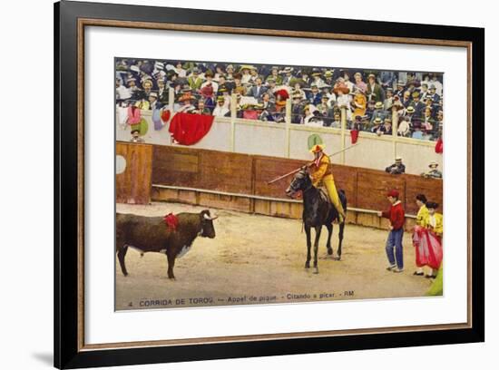 Bull Fight in Spain, Early 20th Century-null-Framed Photographic Print