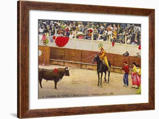 Bull Fight in Spain, Early 20th Century-null-Framed Photographic Print