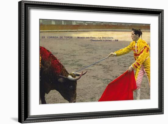 Bull Fight in Spain, Early 20th Century-null-Framed Photographic Print