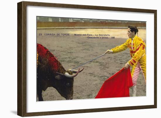 Bull Fight in Spain, Early 20th Century-null-Framed Photographic Print